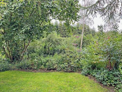 Busch und Heckenbepflanzung - 