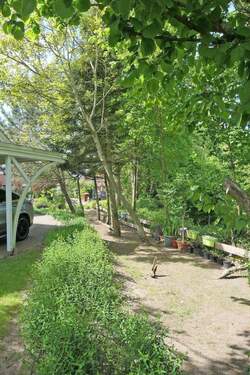 Grundstücksgrenze zum Naturteich - 