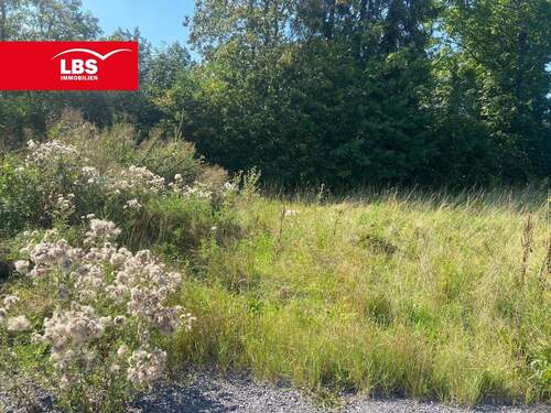 Grundstücksansicht - Traumgrundstück in Olsberg jetzt erhältlich