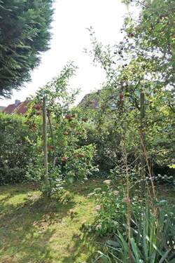 Gartenecke mit Obstbäumen - 