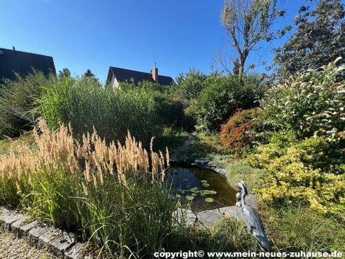 Bild 15 Gartenteich - 