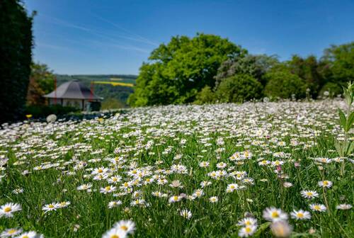 Weitläufiges Grundstück - 8 Zimmer Einfamilienhaus in St. Goarshausen