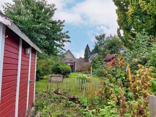 Blick in den Garten - 