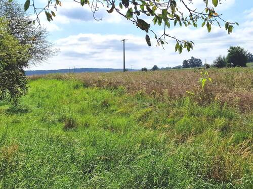 Grundstück in Gressenwöhr - Grundstück in Vilseck