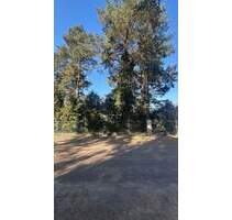 WALDESRUH: Großzügiges Baugrundstück für Ihr Traumhaus - Hoppegarten OT Waldesruh