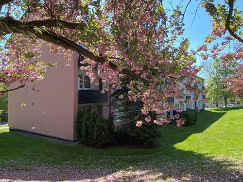 Franzstraße 1 3 5 - 3- Zimmer-Erdgeschoß- Wohnung mit Terrasse in Fritzlar