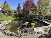 Gartenteich - 