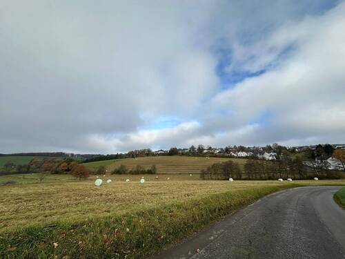 Wiese - Ländliches Haus mit zwei Scheunen Wald, Wiese und Grünflächen in Halver zu verkaufen.