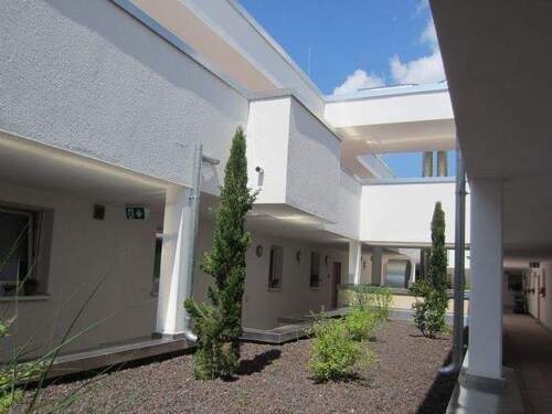 Laubengang / Dachgärten - 