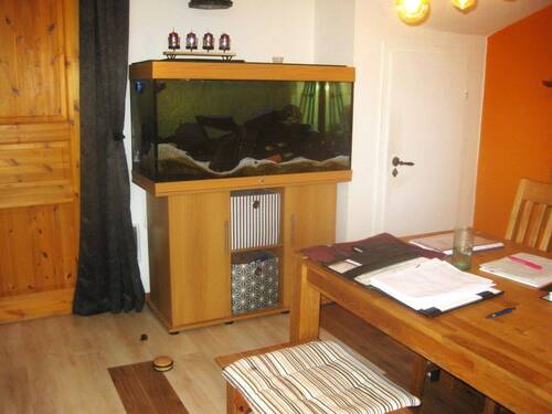 Teil vom Wohnzimmer.jpg - 