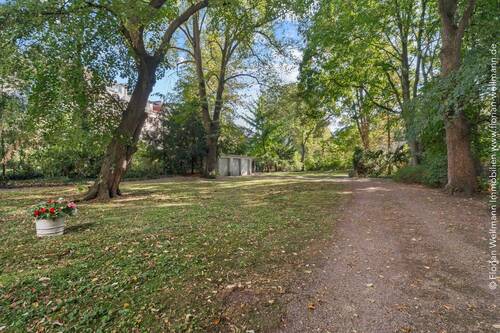 Parkartig angelegter Garten. - 