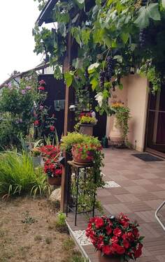 Sommerimpressionen (3).jpg - 