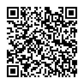 QR-Code - 