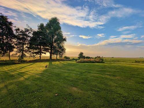 Blick in die Natur - 