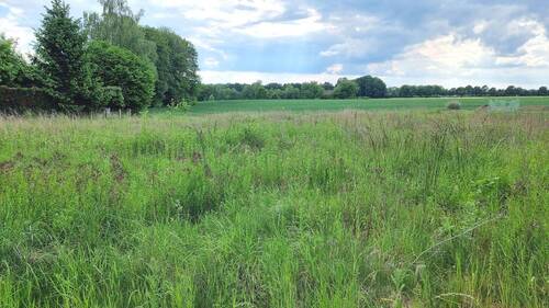 Ansicht Grundstück - Grundstück in Kirchlengern