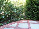 Bild 11 - 