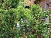 Bild 12 - 