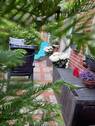 Bild 13 - 
