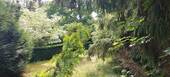 Gartenbereich neben Terrasse - 