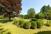 Bild 8 - 