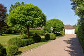 Bild 9 - 