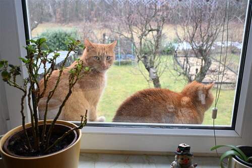 Videoüberwachung - 6 Zimmer Mehrfamilienhaus, Wohnhaus in Hohendubrau