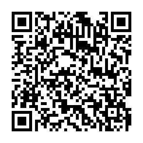 QR-Code - 