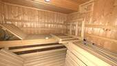 Sauna im Keller - 