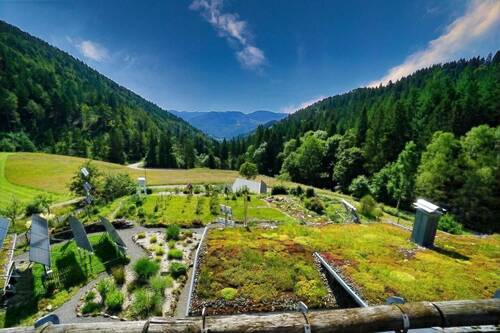 Ausblick - 