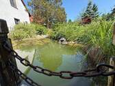 Teich mit kleiner Brücke - 