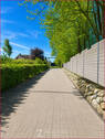 Blick zum Tor - 