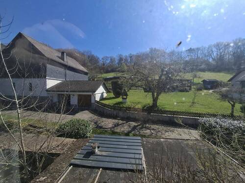 Blick in die Natur - 