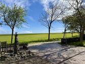 Blick zum Deich - 