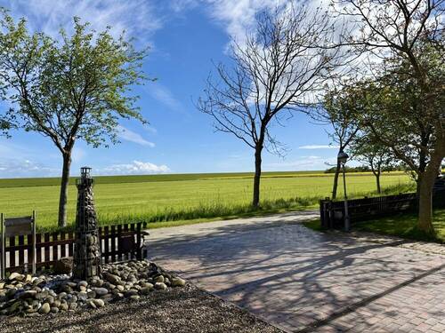 Blick zum Deich - 