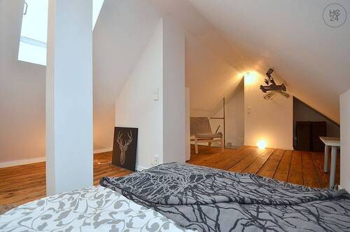 Bild14 - 