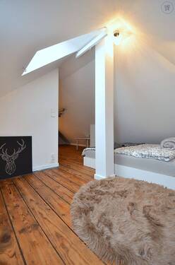 Bild17 - 