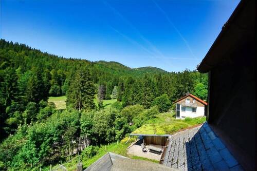 Ausblick - 