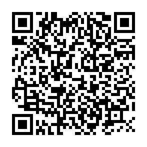 QR-Code - 