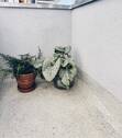 13_Balkon 2 - 