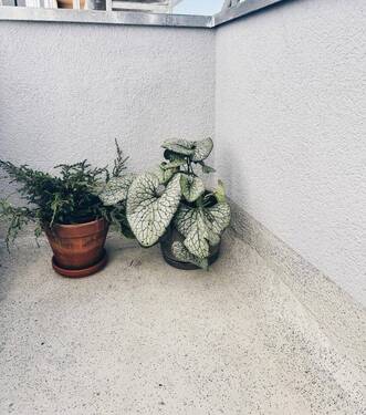 13_Balkon 2 - 