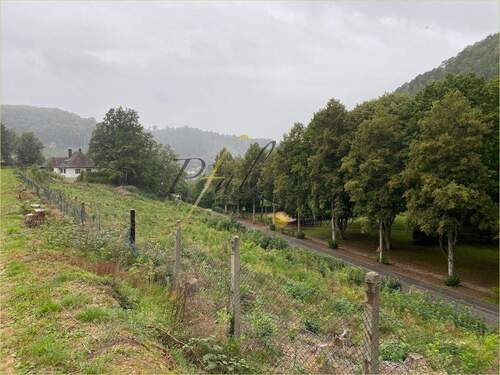 gerodet 3 - Grundstück zum Kaufen in Rodalben