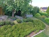Blick vom OG in den hinteren Garten.jpg - 