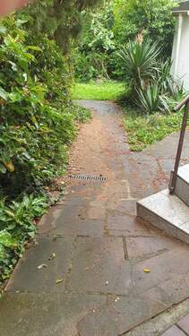 Verwunschener Gartenpfad - 