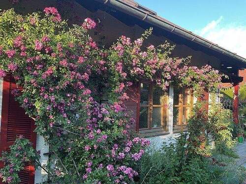 Sommerimpression - 7 Zimmer Einfamilienhaus in Bad Wurzach