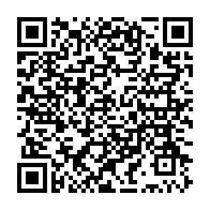 QR-Code - 