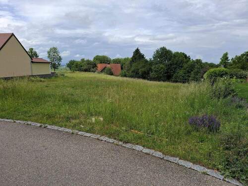 Bild 2 - Grundstück zum Kaufen in Berg im Gau