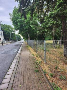 Straße vor dem Grundstück.jpg - Grundstück in Leipzig zum Kaufen