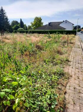 Grundstück - Grundstück in Wunstorf zum Kaufen