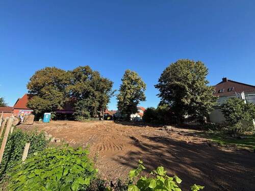 Grundstück Blick zur Straße - Freies Baugrundstück mit altem Baumbestand in Luthe