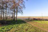 Blick zum Deich - 